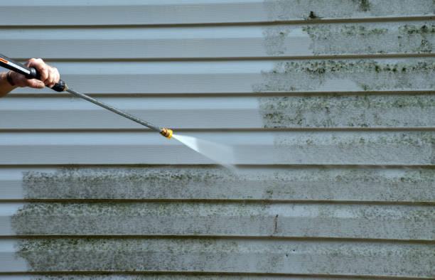 Best Fence Pressure Washing  in Galliano, LA