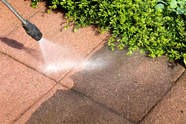 Local Pressure Washing Services in Galliano, LA